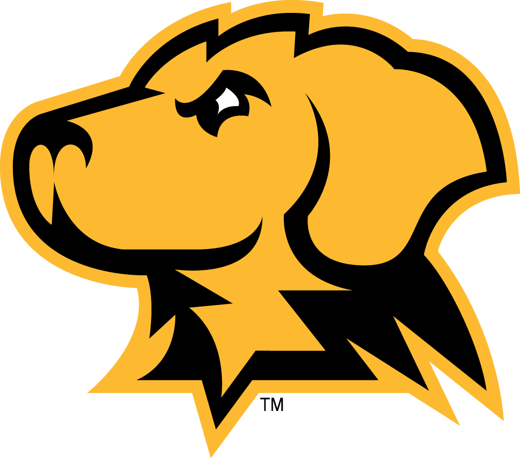 UMBC Retrievers 2010-Pres Alternate Logo 03 iron on paper